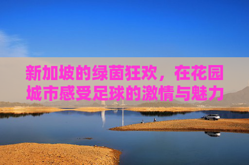 新加坡的绿茵狂欢,在花园城市感受足球的激情与魅力