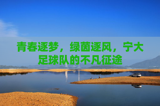 青春逐梦，绿茵逐风，宁大足球队的不凡征途