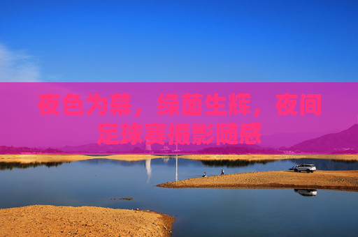 夜色为幕，绿茵生辉，夜间足球赛摄影随感