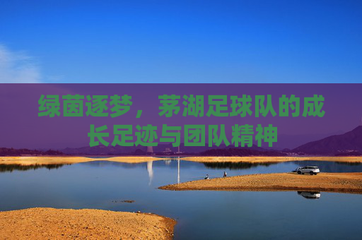 绿茵逐梦,茅湖足球队的成长足迹与团队精神