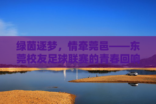 绿茵逐梦，情牵莞邑——东莞校友足球联赛的青春回响与友谊长存