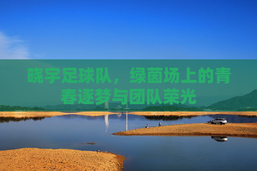 晓宇足球队，绿茵场上的青春逐梦与团队荣光