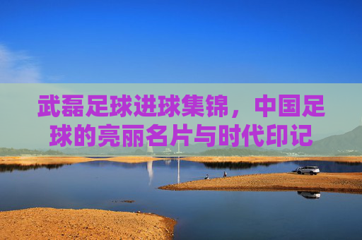 武磊足球进球集锦,中国足球的亮丽名片与时代印记