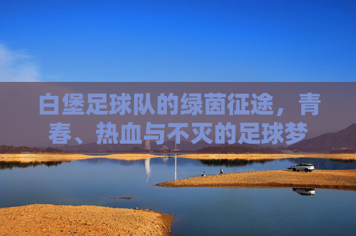 白堡足球队的绿茵征途，青春、热血与不灭的足球梦