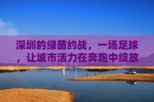 深圳的绿茵约战,一场足球,让城市活力在奔跑中绽放
