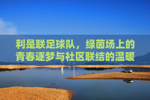 利是联足球队,绿茵场上的青春逐梦与社区联结的温暖篇章