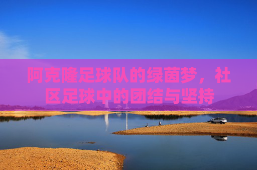 阿克隆足球队的绿茵梦，社区足球中的团结与坚持