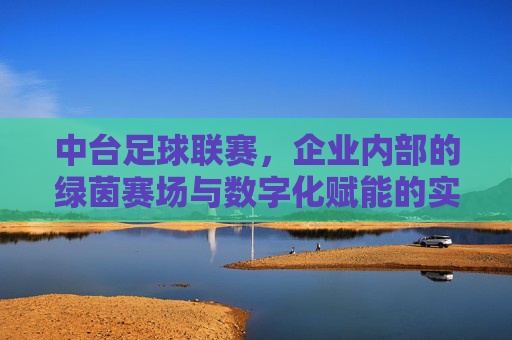 中台足球联赛，企业内部的绿茵赛场与数字化赋能的实践