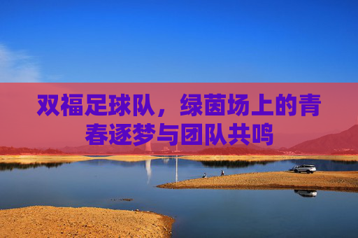 双福足球队,绿茵场上的青春逐梦与团队共鸣