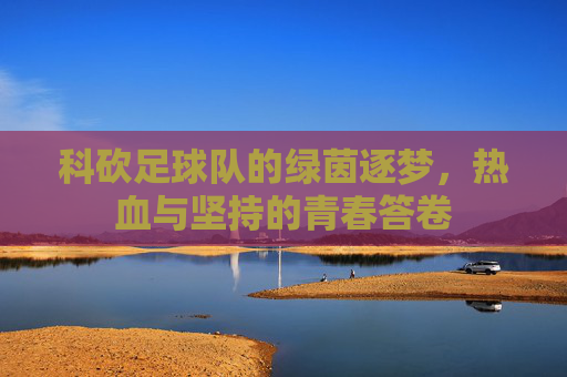 科砍足球队的绿茵逐梦，热血与坚持的青春答卷