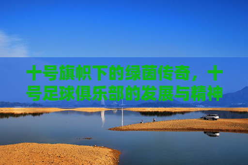 十号旗帜下的绿茵传奇，十号足球俱乐部的发展与精神传承