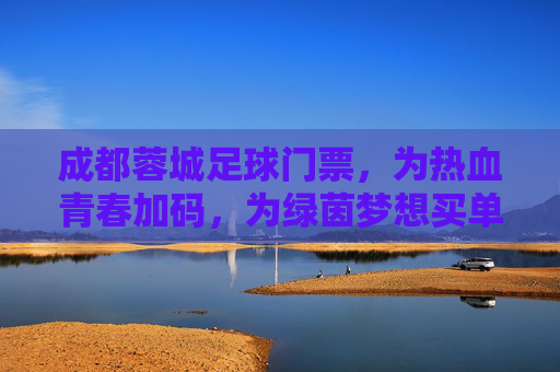 成都蓉城足球门票,为热血青春加码,为绿茵梦想买单