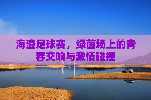 海澄足球赛,绿茵场上的青春交响与激情碰撞