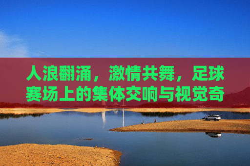 人浪翻涌,激情共舞,足球赛场上的集体交响与视觉奇观