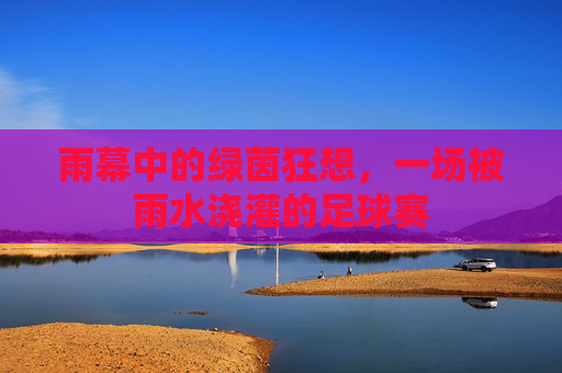 雨幕中的绿茵狂想，一场被雨水浇灌的足球赛