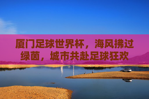 厦门足球世界杯，海风拂过绿茵，城市共赴足球狂欢