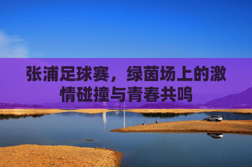 张浦足球赛,绿茵场上的激情碰撞与青春共鸣