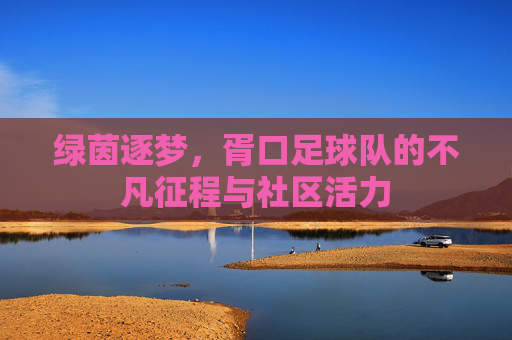 绿茵逐梦,胥口足球队的不凡征程与社区活力