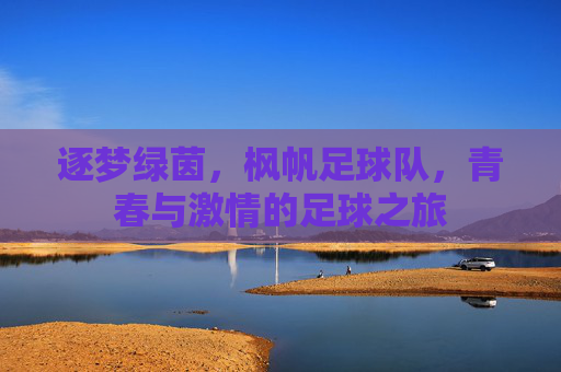 逐梦绿茵,枫帆足球队,青春与激情的足球之旅