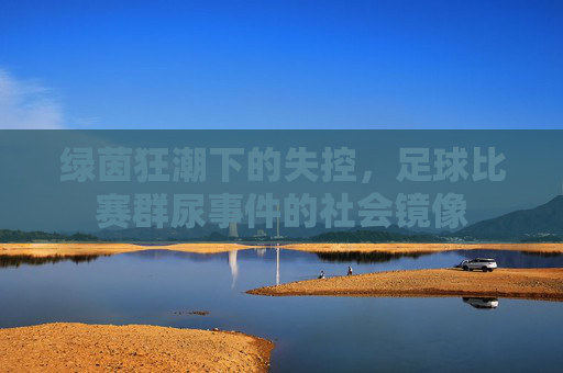 绿茵狂潮下的失控,足球比赛群尿事件的社会镜像