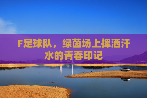 F足球队，绿茵场上挥洒汗水的青春印记
