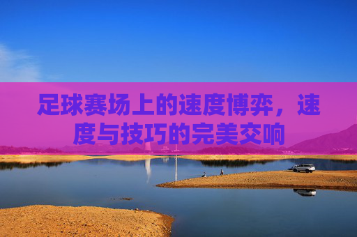 足球赛场上的速度博弈,速度与技巧的完美交响