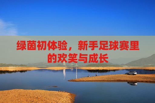 绿茵初体验，新手足球赛里的欢笑与成长