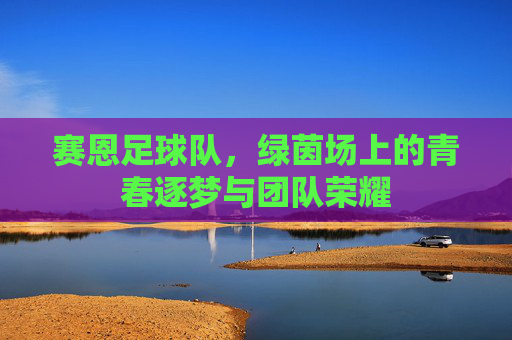 赛恩足球队,绿茵场上的青春逐梦与团队荣耀