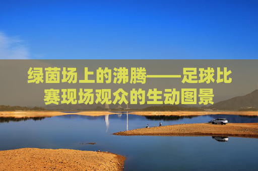 绿茵场上的沸腾——足球比赛现场观众的生动图景