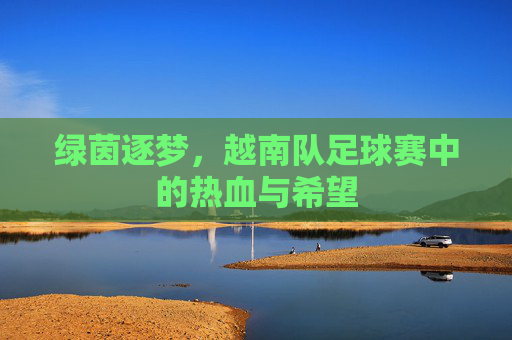 绿茵逐梦,越南队足球赛中的热血与希望