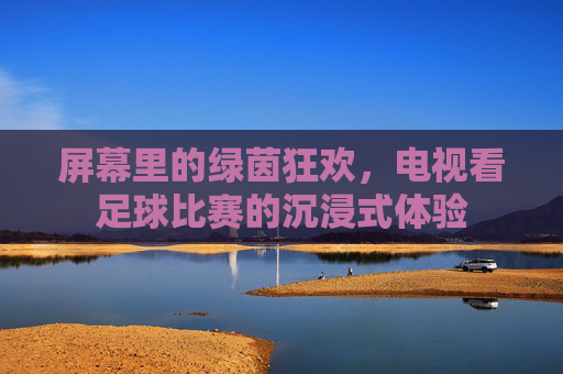 屏幕里的绿茵狂欢,电视看足球比赛的沉浸式体验