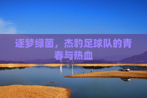 逐梦绿茵,杰豹足球队的青春与热血