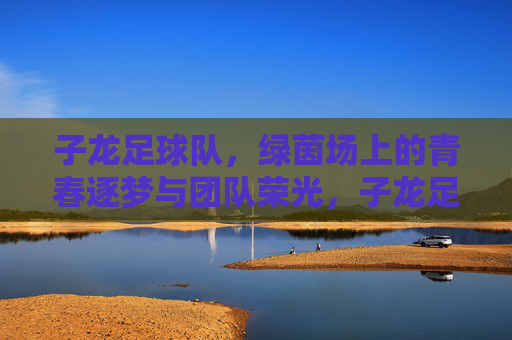 子龙足球队,绿茵场上的青春逐梦与团队荣光,子龙足球队,绿茵场上的青春逐梦与团队荣光