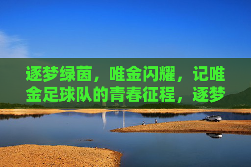 逐梦绿茵，唯金闪耀，记唯金足球队的青春征程，逐梦绿茵，唯金闪耀，记唯金足球队的青春征程