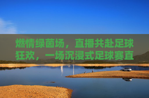 燃情绿茵场,直播共赴足球狂欢,一场沉浸式足球赛直播活动的魅力探索,燃情绿茵场,直播共赴足球狂欢,沉浸式足球赛的魅力探索