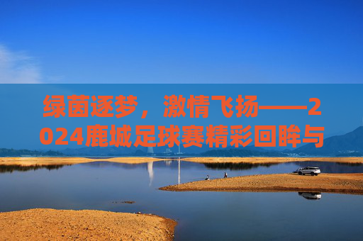 绿茵逐梦，激情飞扬——2024鹿城足球赛精彩回眸与未来展望，绿茵逐梦，激情飞扬——2024鹿城足球赛精彩回眸与未来展望