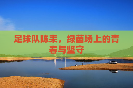 足球队陈耒,绿茵场上的青春与坚守