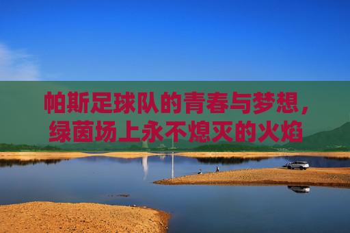 帕斯足球队的青春与梦想，绿茵场上永不熄灭的火焰