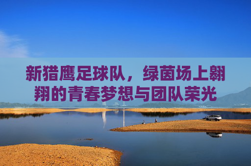 新猎鹰足球队，绿茵场上翱翔的青春梦想与团队荣光