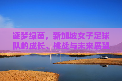 逐梦绿茵，新加坡女子足球队的成长、挑战与未来展望