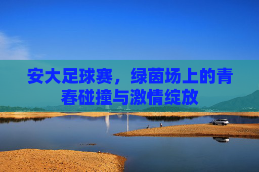 安大足球赛,绿茵场上的青春碰撞与激情绽放