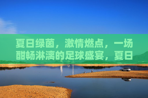 夏日绿茵，激情燃点，一场酣畅淋漓的足球盛宴，夏日绿茵，激情燃点，一场酣畅淋漓的足球盛宴