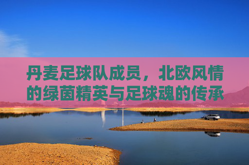 丹麦足球队成员，北欧风情的绿茵精英与足球魂的传承