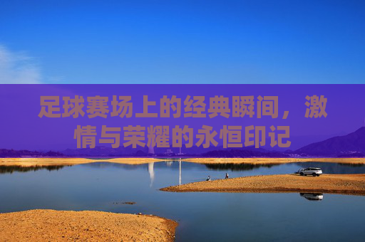 足球赛场上的经典瞬间,激情与荣耀的永恒印记