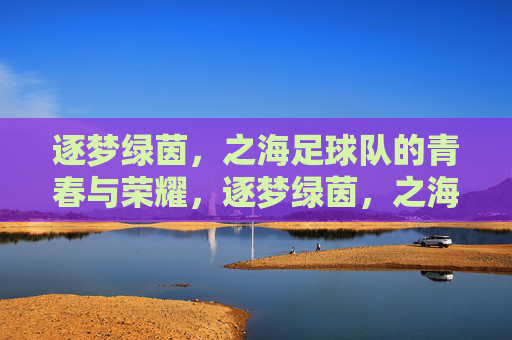 逐梦绿茵,之海足球队的青春与荣耀,逐梦绿茵,之海足球队的青春与荣耀