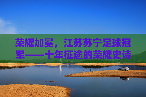 荣耀加冕,江苏苏宁足球冠军——十年征途的荣耀史诗与时代印记,荣耀加冕,江苏苏宁足球冠军——十年征途的荣耀史诗与时代印记