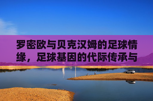 罗密欧与贝克汉姆的足球情缘,足球基因的代际传承与梦想延续,罗密欧与贝克汉姆的足球情缘,足球基因的代际传承与梦想延续