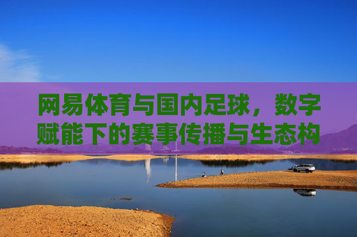 网易体育与国内足球,数字赋能下的赛事传播与生态构建,网易体育与国内足球,数字赋能下的赛事传播与生态构建