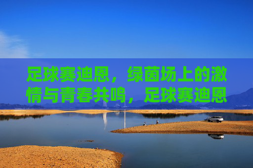 足球赛迪恩，绿茵场上的激情与青春共鸣，足球赛迪恩，绿茵场上的激情与青春共鸣