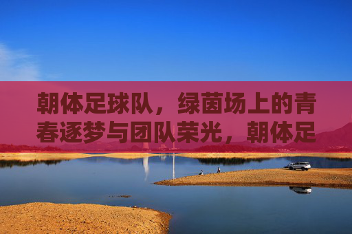 朝体足球队，绿茵场上的青春逐梦与团队荣光，朝体足球队，绿茵场上的青春逐梦与团队荣光